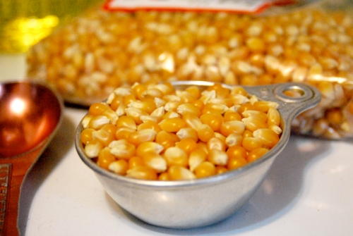 Bucky Badger yellow popcorn kernels